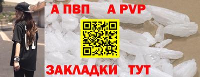 стаф Шелехов