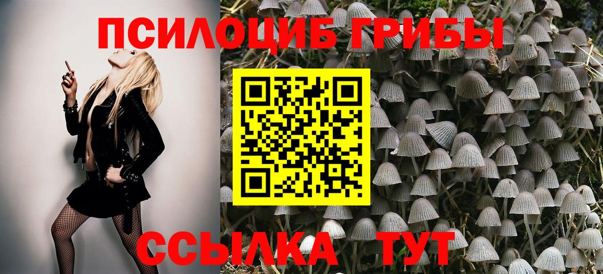 Псилоцибиновые грибы мицелий  Вход с VPN  Барнаул 