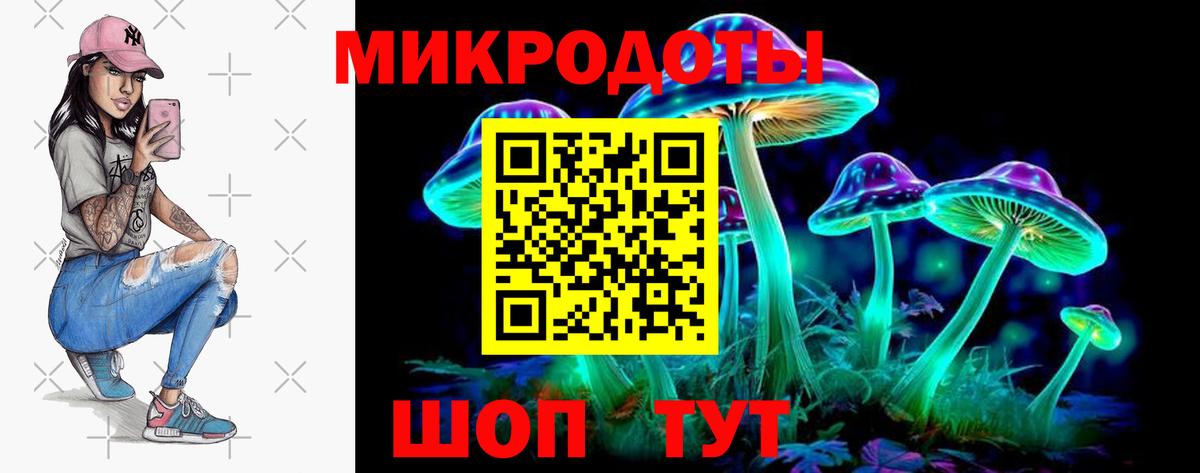 Псилоцибиновые грибы Psilocybe Барнаул